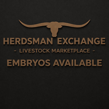 Rebel HR x LW Satin Sheets Embryo